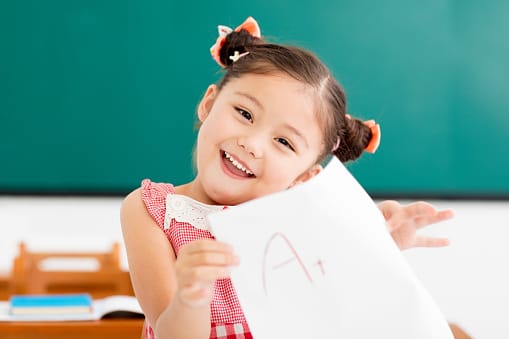 Formative Assessments with Shurley English