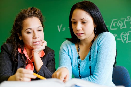 Vitality in Veteran Shurley English Teachers